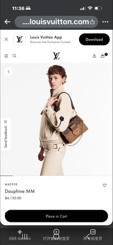 Louis vuitton - louis,
