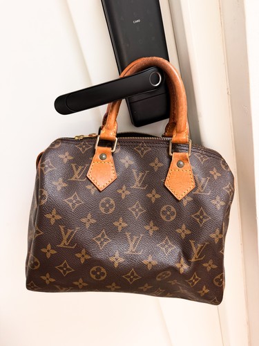 Louis vuitton - louis,