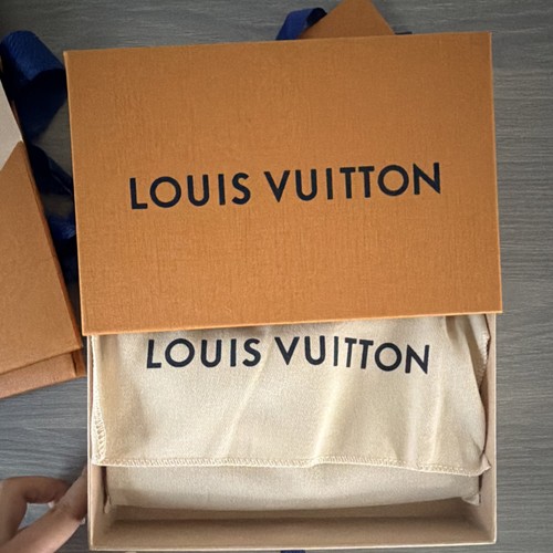 Louis vuitton - louis,